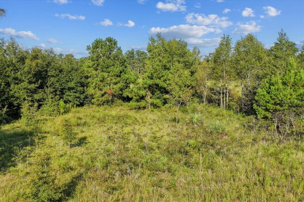 En Venta: $300,000 (17.69 acres)