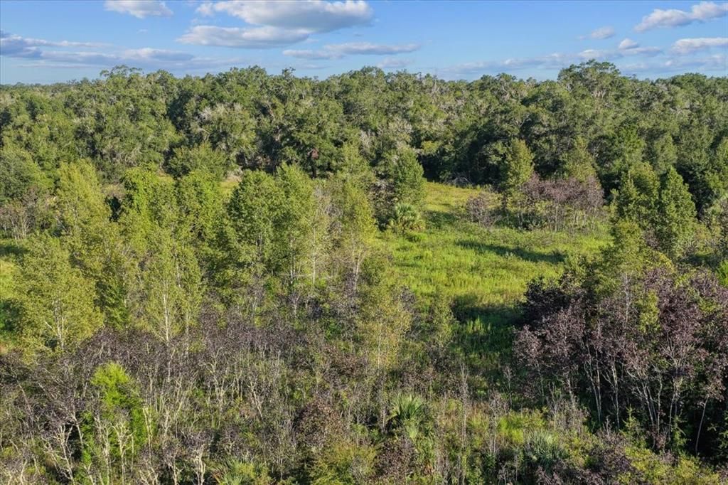 En Venta: $300,000 (17.69 acres)