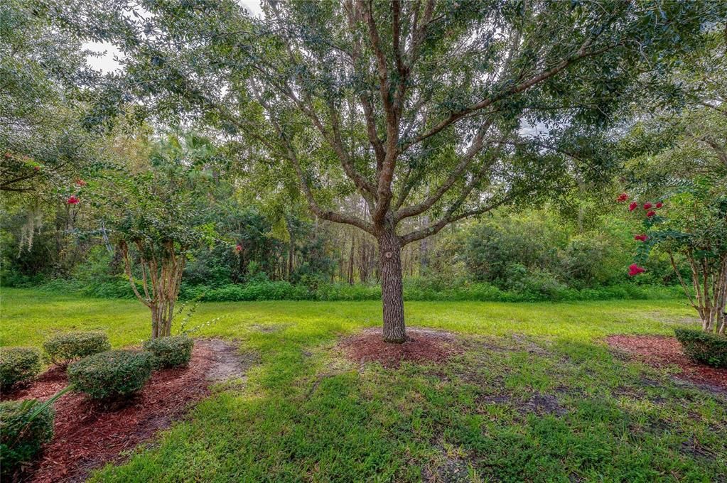 For Sale: $255,000 (2 beds, 2 baths, 1335 Square Feet)