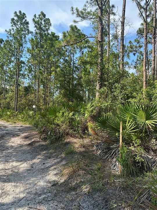 For Sale: $7,000 (0.27 acres)