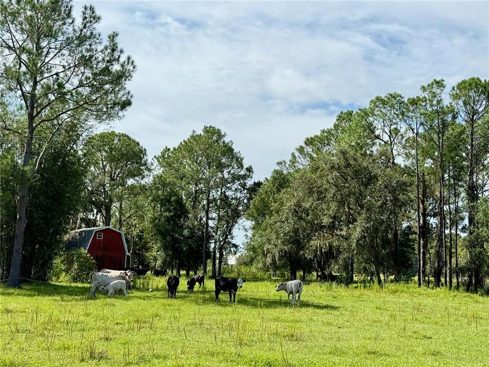 На продажу: $2,800,000 (68.28 acres)