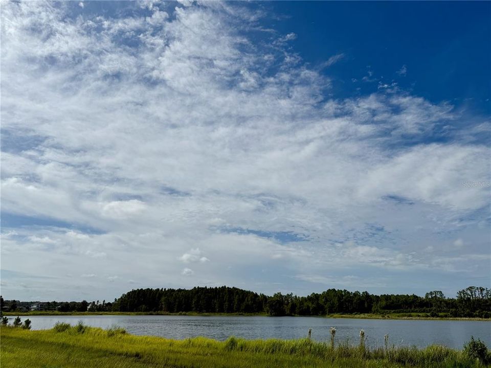 На продажу: $2,800,000 (68.28 acres)