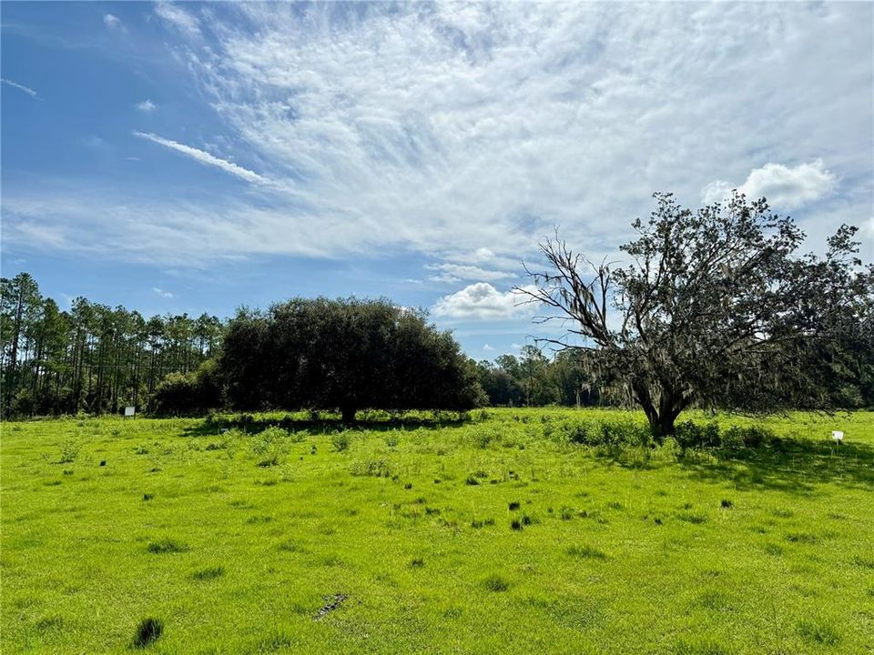 На продажу: $2,800,000 (68.28 acres)
