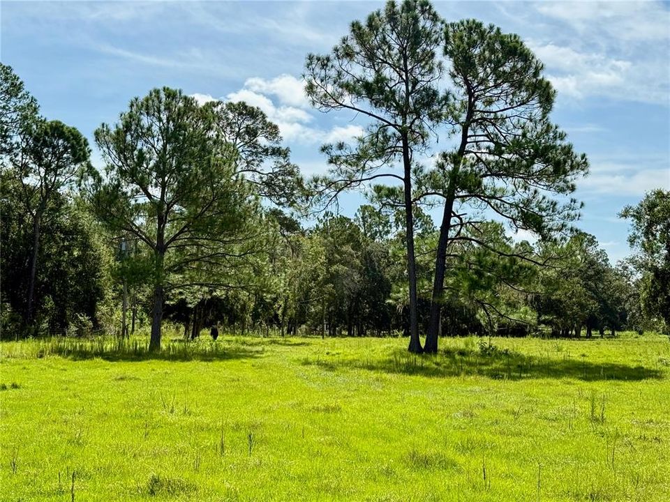 На продажу: $2,800,000 (68.28 acres)