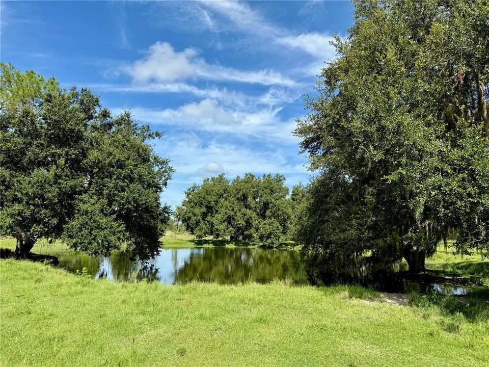 На продажу: $2,800,000 (68.28 acres)