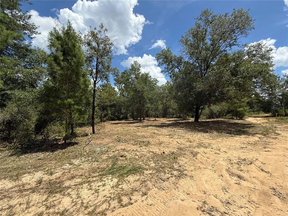 待售: $22,000 (0.32 acres)