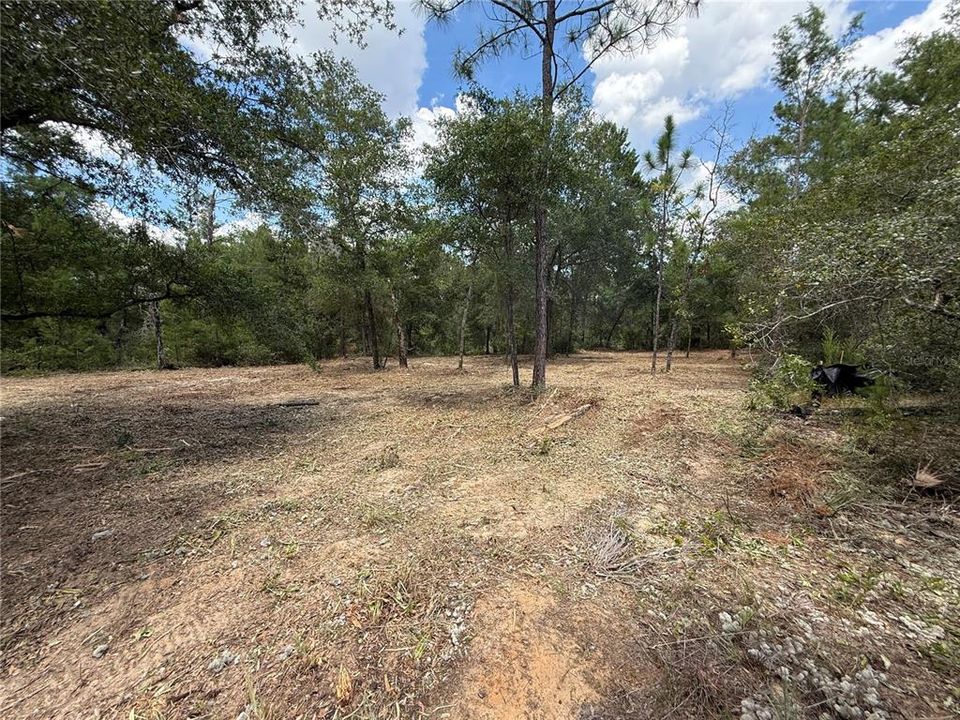 待售: $22,000 (0.32 acres)