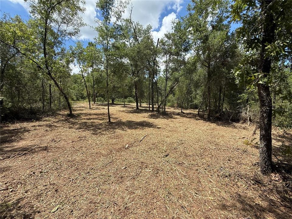 待售: $22,000 (0.32 acres)