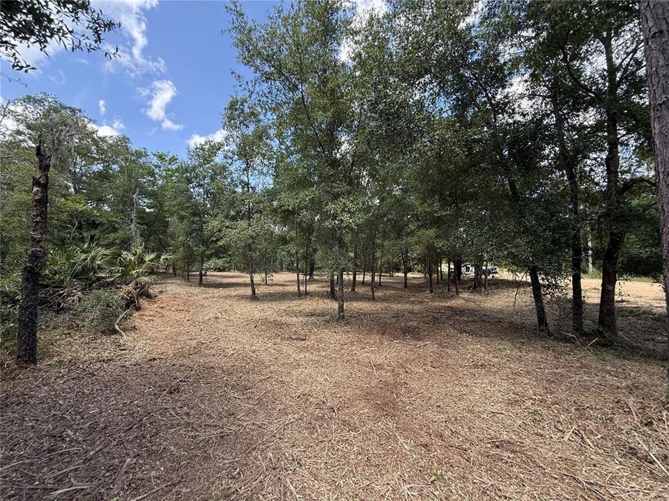 待售: $29,900 (0.41 acres)