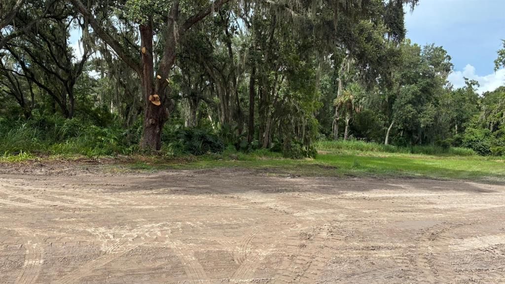 For Sale: $145,000 (3.59 acres)