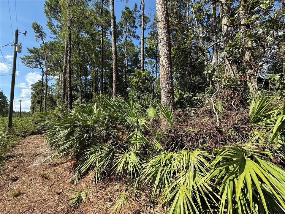 待售: $12,500 (0.53 acres)