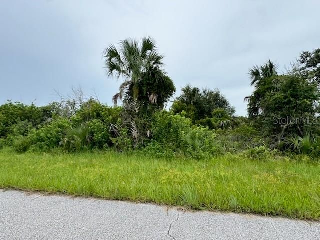 待售: $14,900 (0.23 acres)