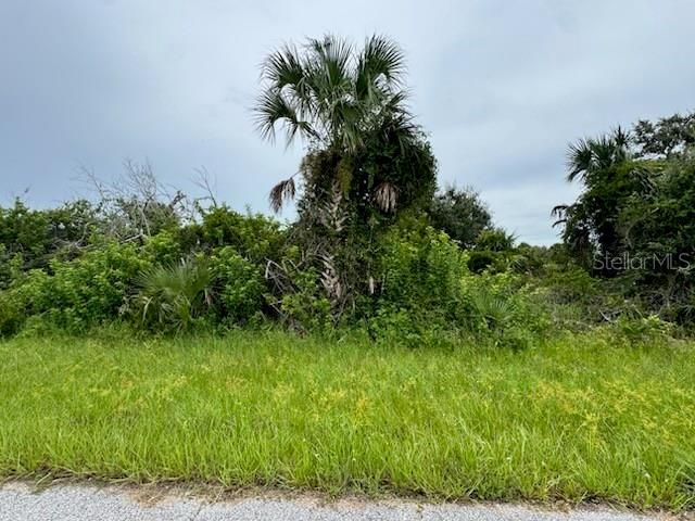 待售: $14,900 (0.23 acres)