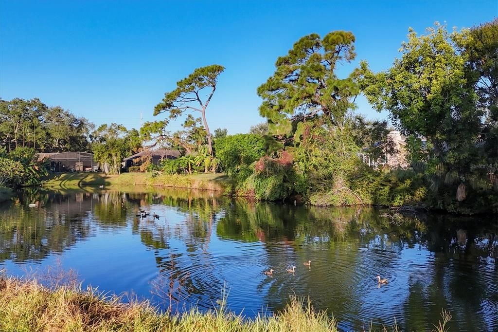 Под контрактом: $625,000 (3 спален, 3 ванн, 2249 Квадратных фут)