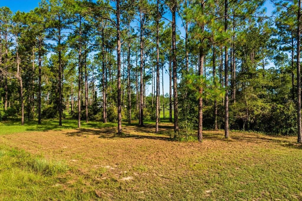 Activo con contrato: $445,000 (5.00 acres)