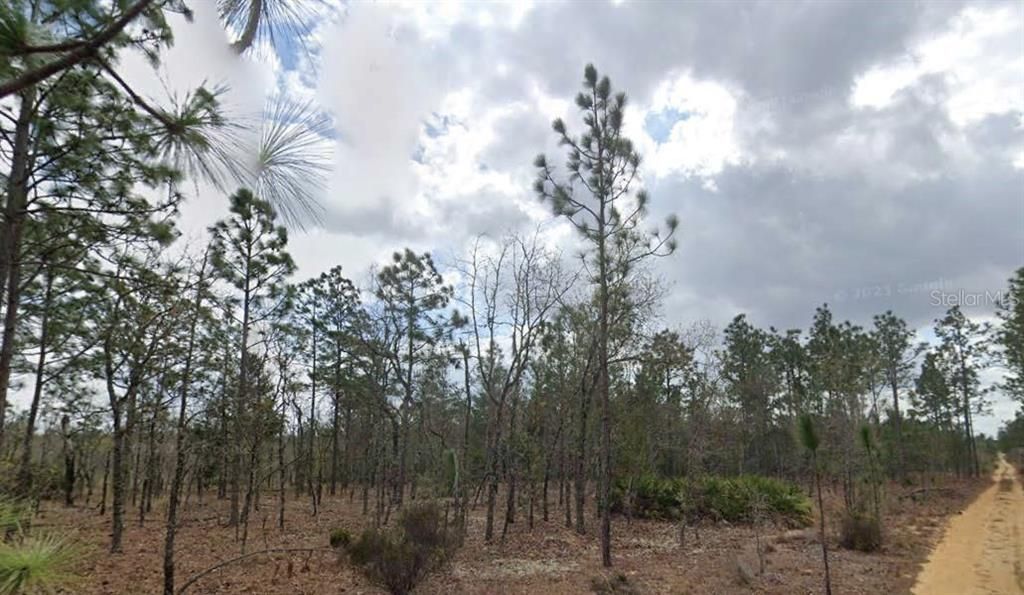 待售: $15,000 (0.10 acres)