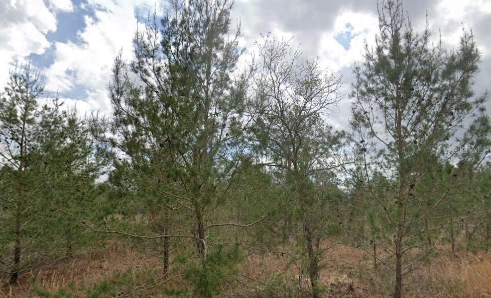 待售: $15,000 (0.10 acres)