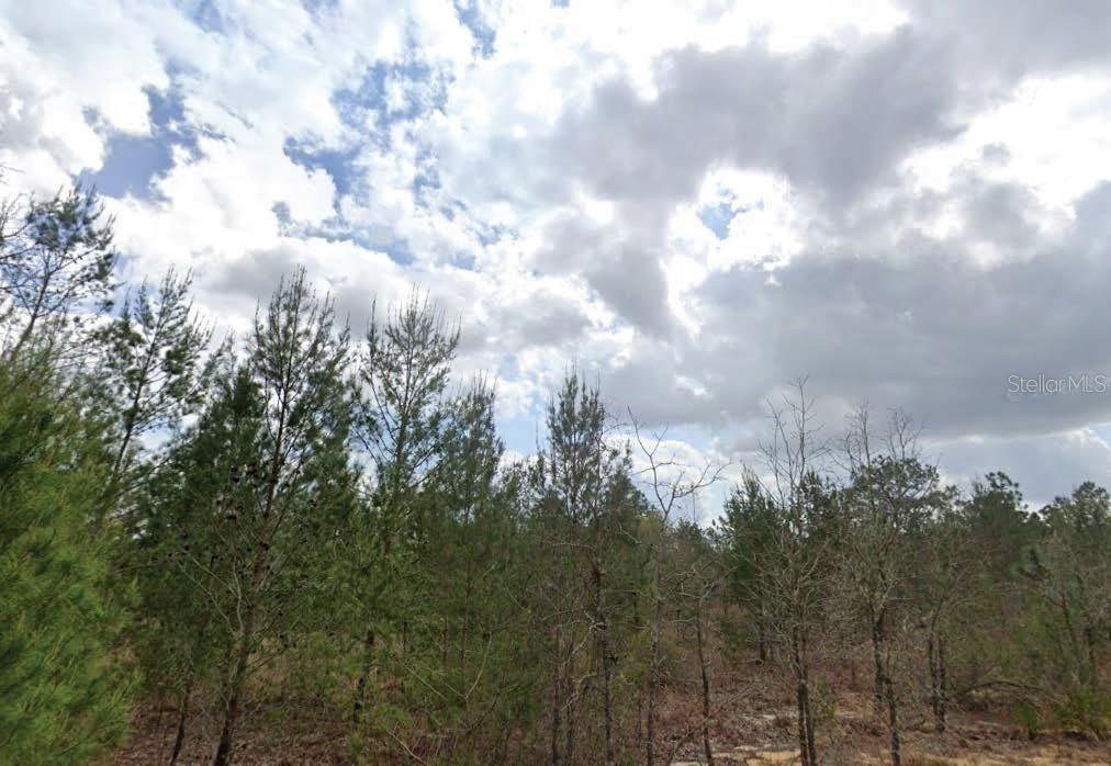 待售: $15,000 (0.10 acres)