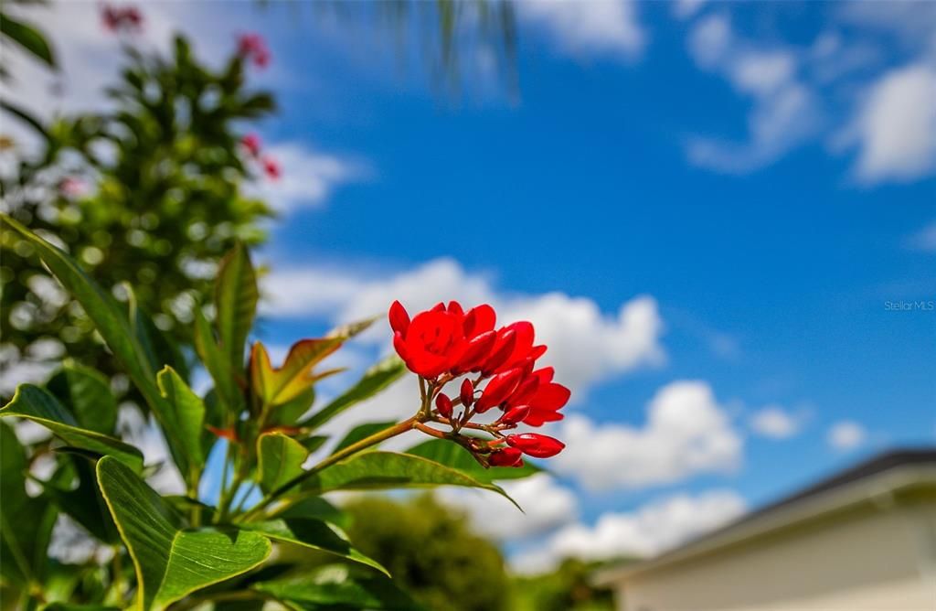 待售: $899,900 (5 贝兹, 2 浴室, 2951 平方英尺)