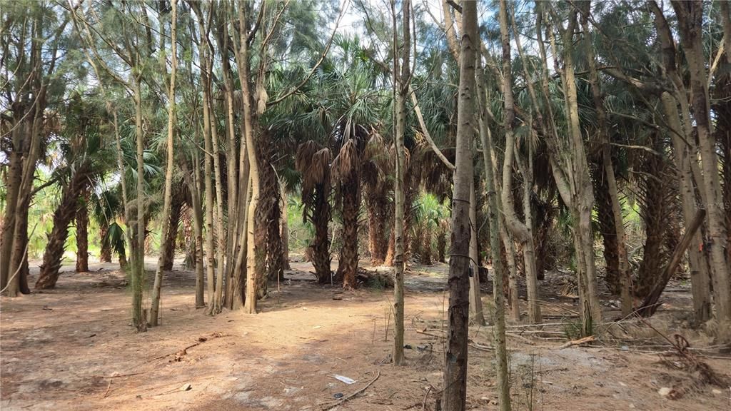 待售: $129,900 (5.97 acres)