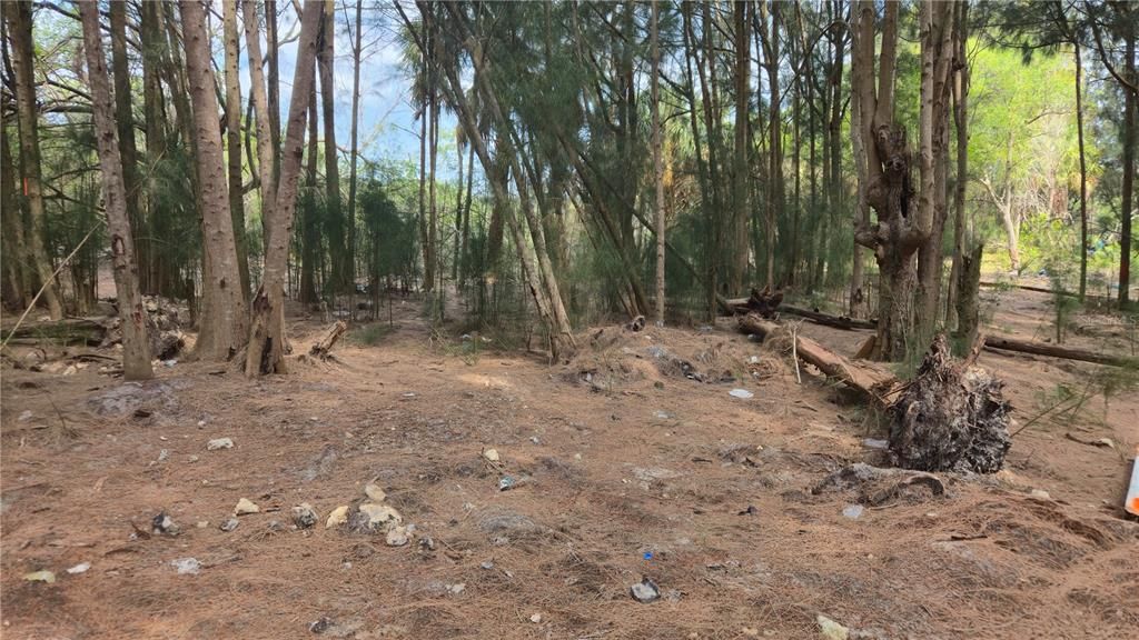 待售: $129,900 (5.97 acres)