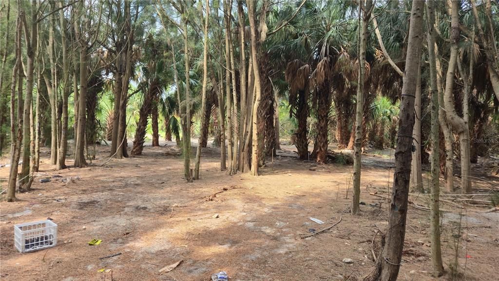 待售: $129,900 (5.97 acres)