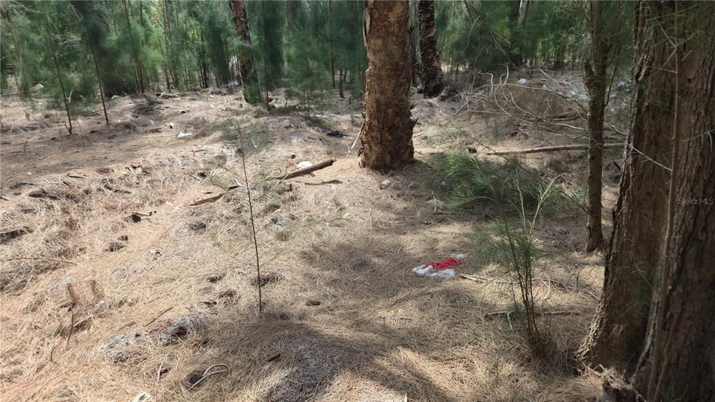 待售: $129,900 (5.97 acres)