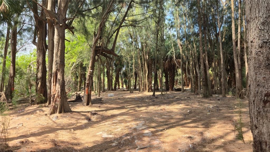 待售: $129,900 (5.97 acres)