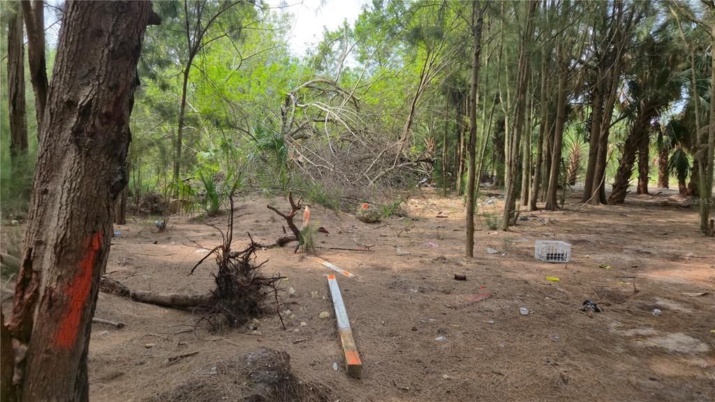 待售: $129,900 (5.97 acres)