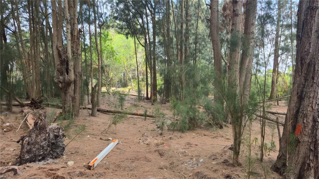 待售: $129,900 (5.97 acres)