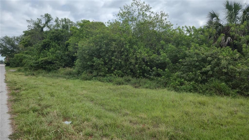 En Venta: $64,900 (1.60 acres)