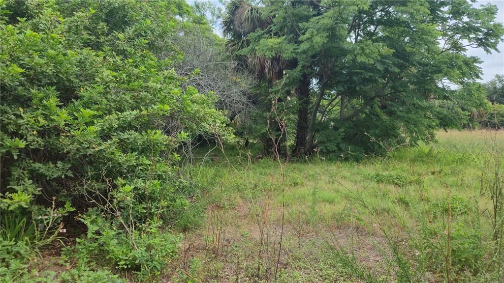 En Venta: $64,900 (1.60 acres)