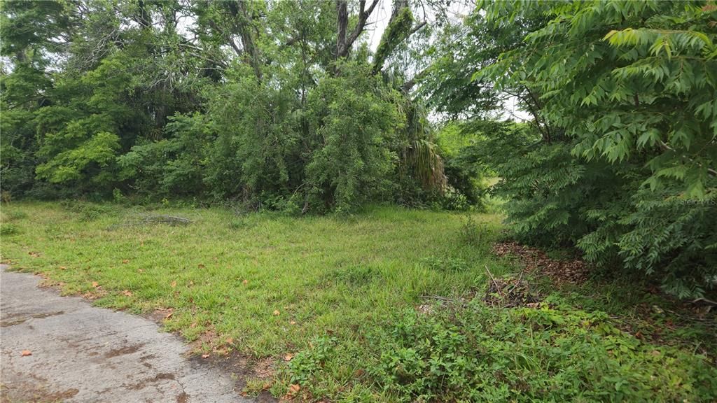 En Venta: $64,900 (1.60 acres)