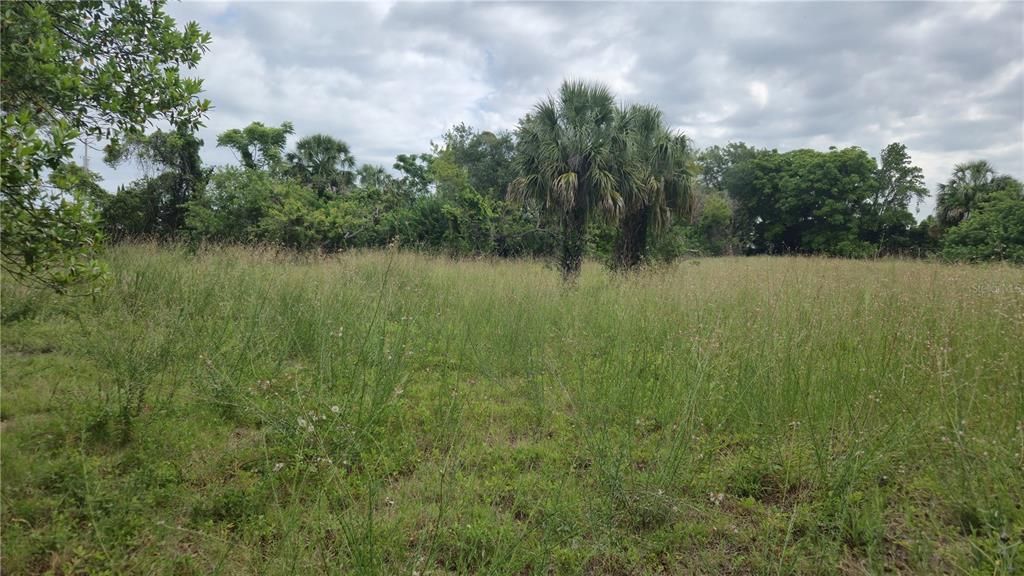 En Venta: $64,900 (1.60 acres)