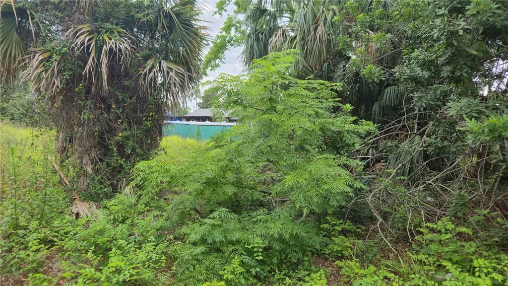 En Venta: $64,900 (1.60 acres)