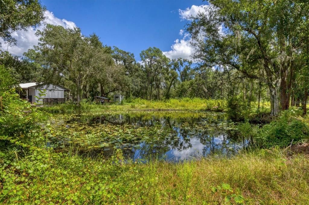 待售: $1,000,000 (3 贝兹, 2 浴室, 1407 平方英尺)