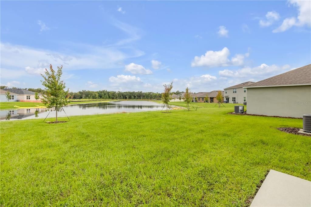 出租: $2,500 (5 贝兹, 3 浴室, 2601 平方英尺)