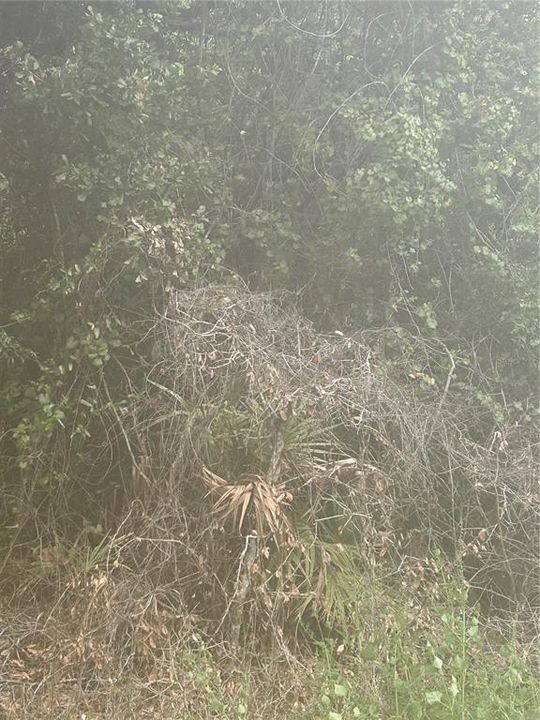 待售: $12,500 (0.26 acres)