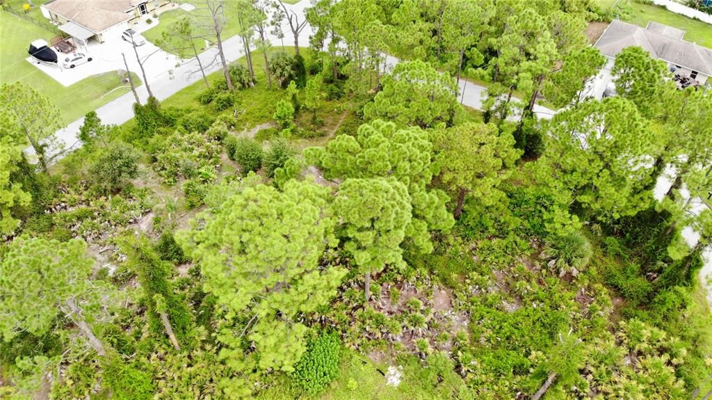 For Sale: $24,900 (0.28 acres)