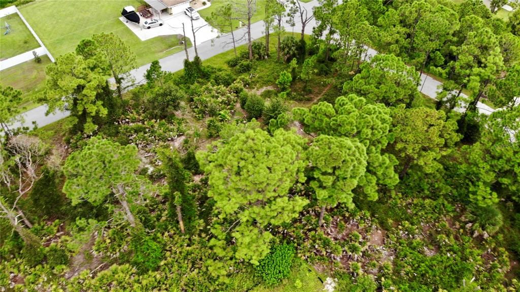 For Sale: $24,900 (0.28 acres)