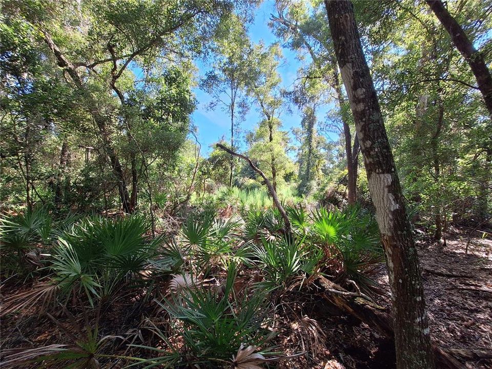 合同活跃: $75,000 (5.06 acres)