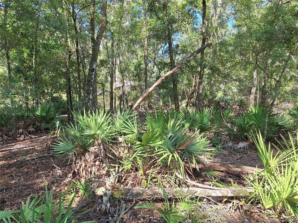 合同活跃: $75,000 (5.06 acres)