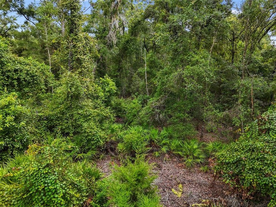 合同活跃: $75,000 (5.06 acres)