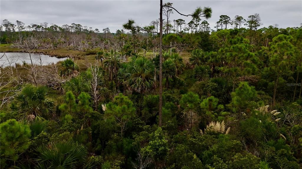 En Venta: $170,000 (5.47 acres)