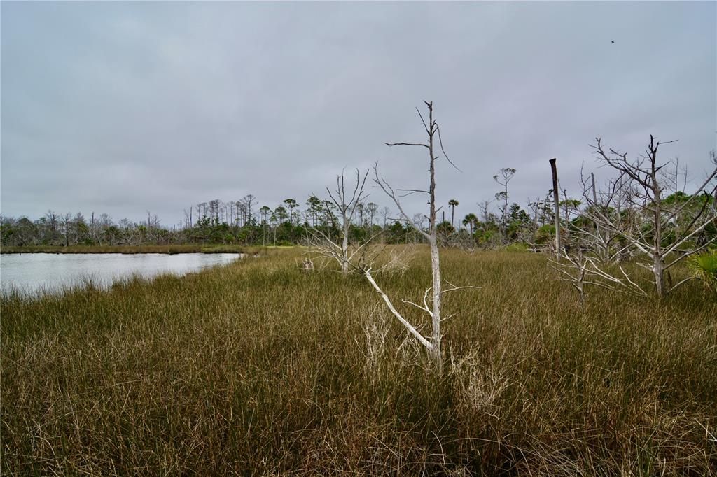 En Venta: $170,000 (5.47 acres)