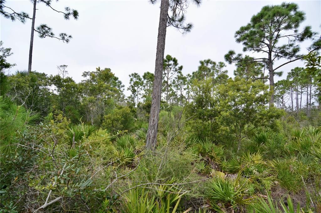 En Venta: $170,000 (5.47 acres)