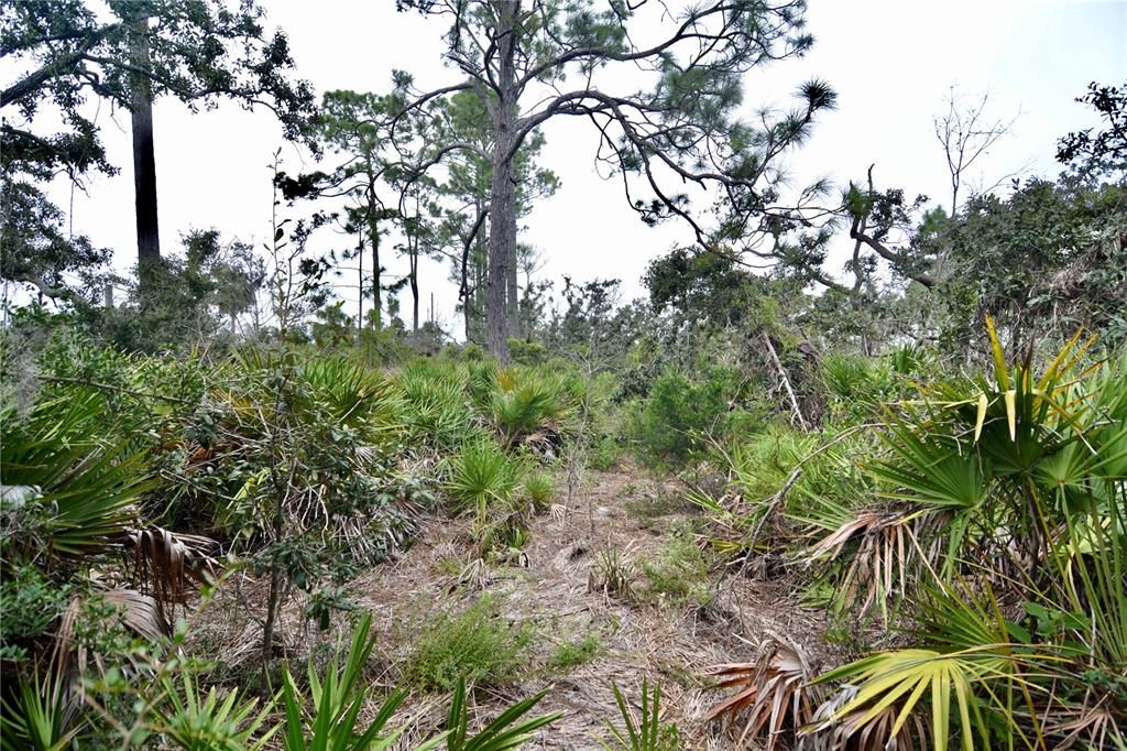 En Venta: $170,000 (5.47 acres)