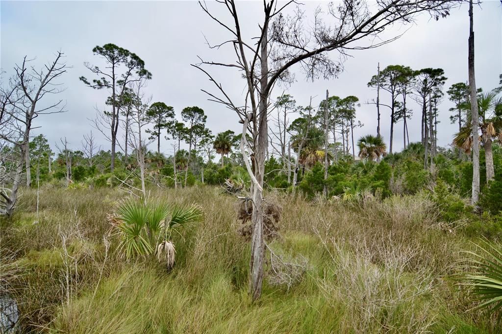 En Venta: $170,000 (5.47 acres)