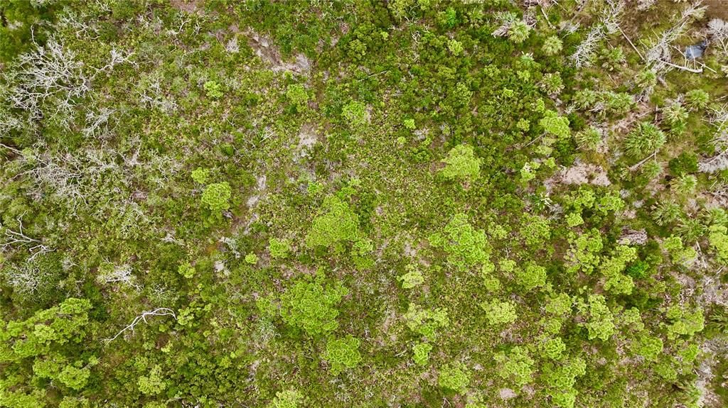 En Venta: $170,000 (5.47 acres)