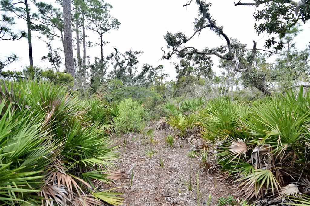 En Venta: $170,000 (5.47 acres)